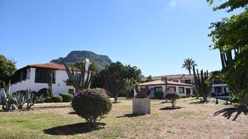 A courtyard with cacti, a mountain in the background, and a building with a tiled roof.