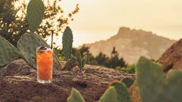 A cactus with a drink on a rock, surrounded by cacti.