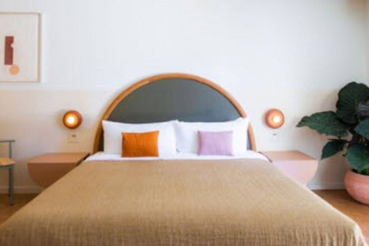 A neatly made bed with a wooden headboard, two bedside tables, and a potted plant.