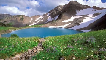 Un lago de montaña rodeado de terreno rocoso y flores silvestres.