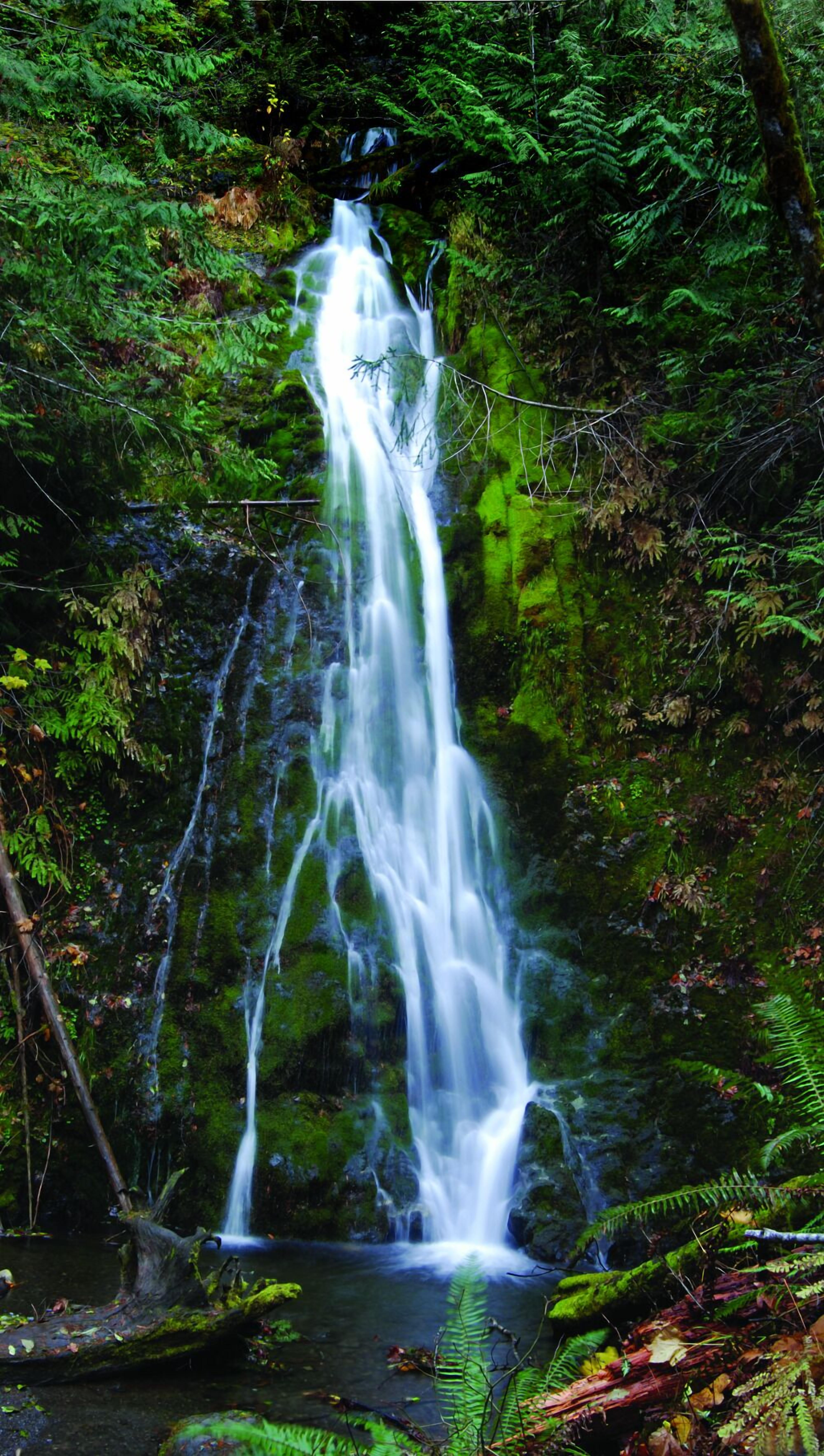 A waterfall in a forested area.