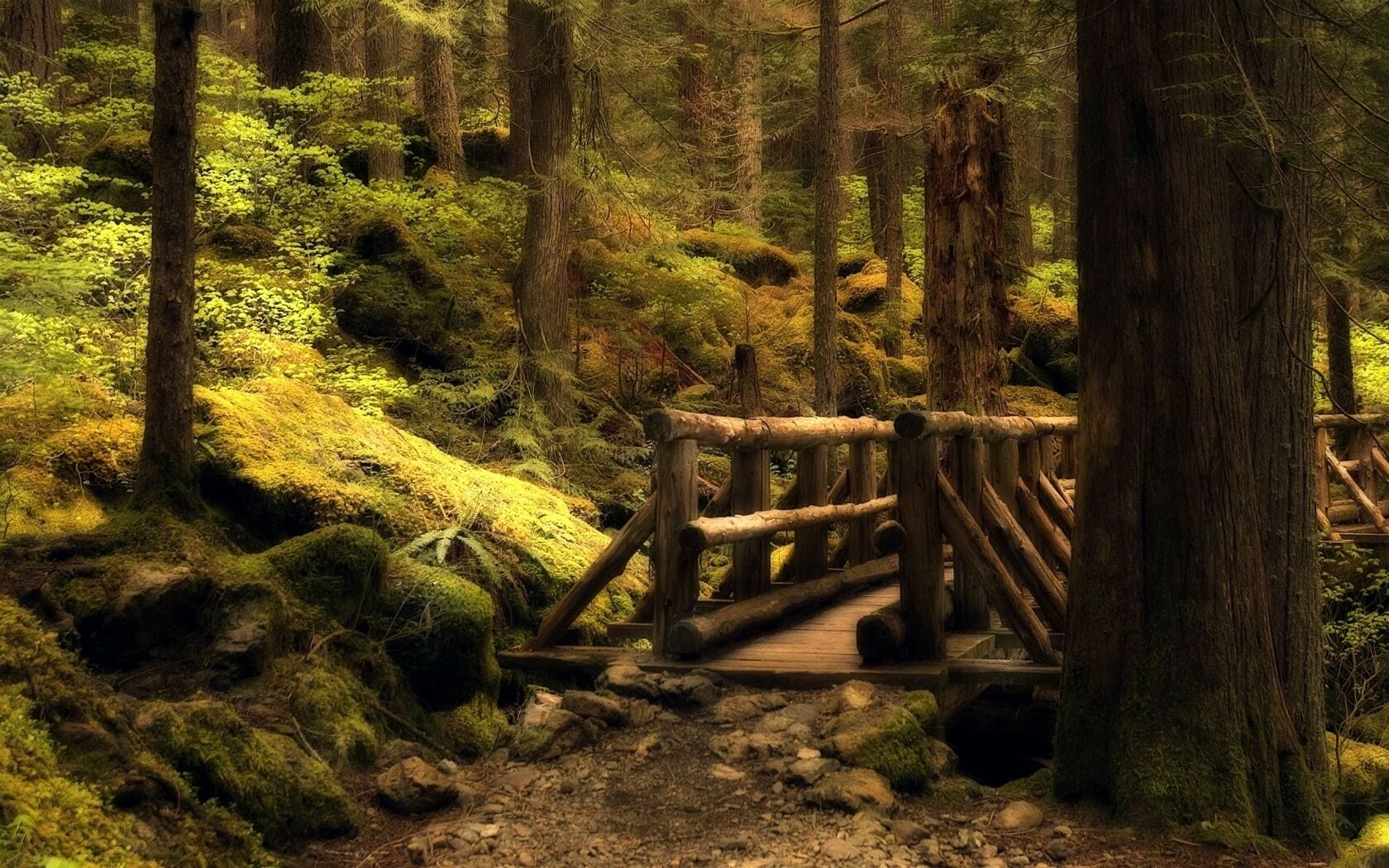 A rustic wooden bridge in a forested area with moss-covered rocks and trees.