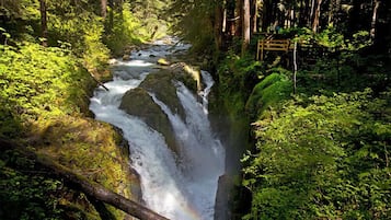 Una cascada en un área boscosa con un puente de madera.