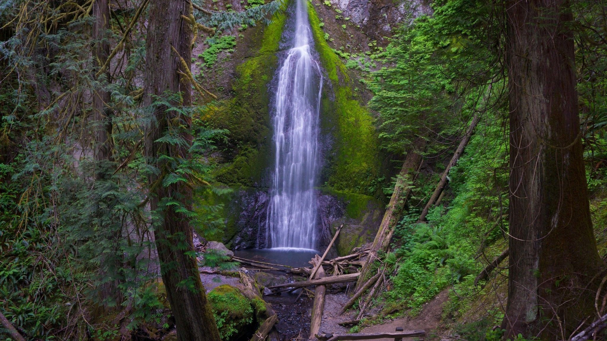 Een waterval omringd door dicht bos.