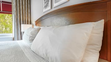 Room, 1 King Bed with Sofa bed