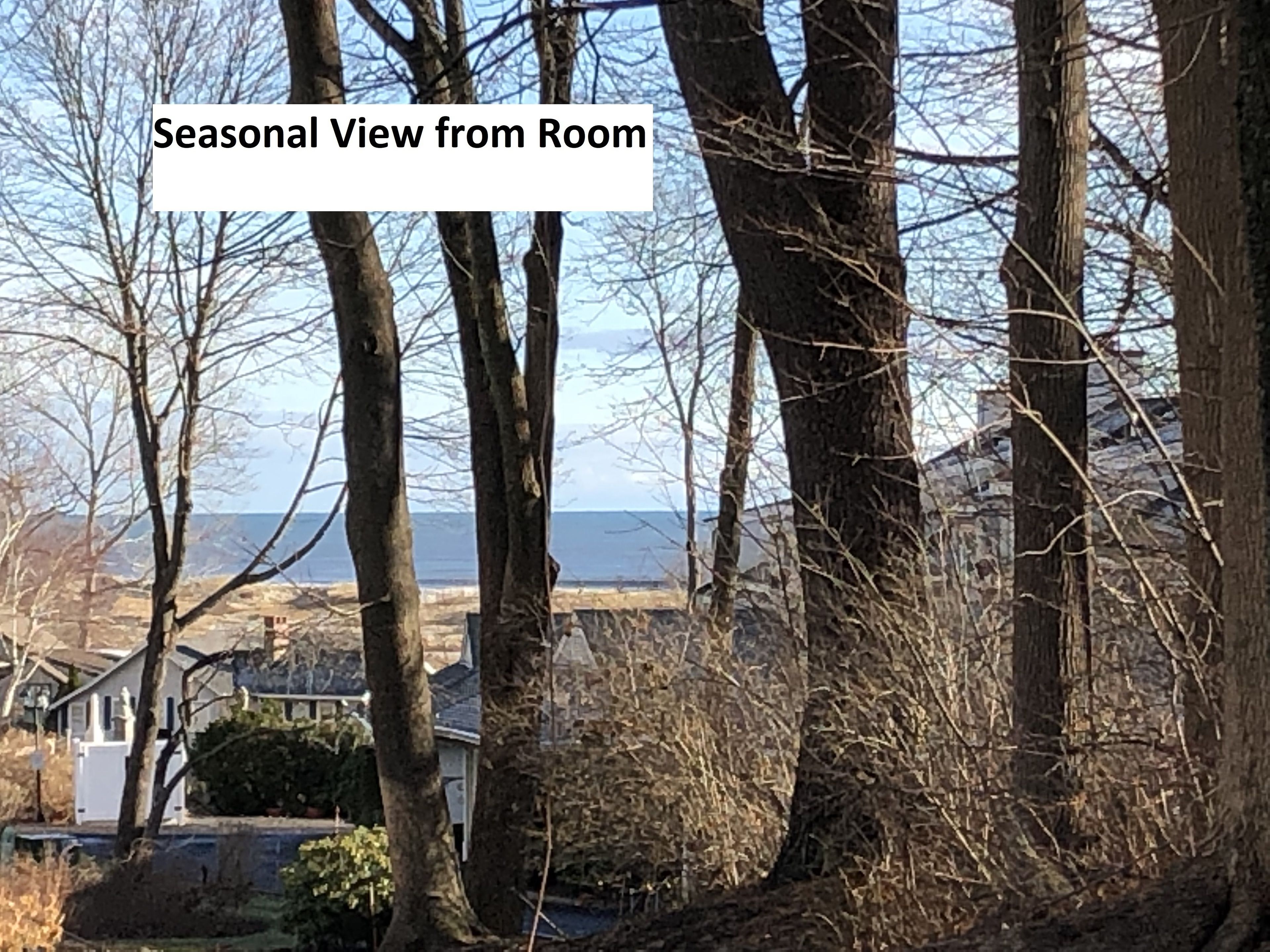 double room, 2 queen beds | view from room