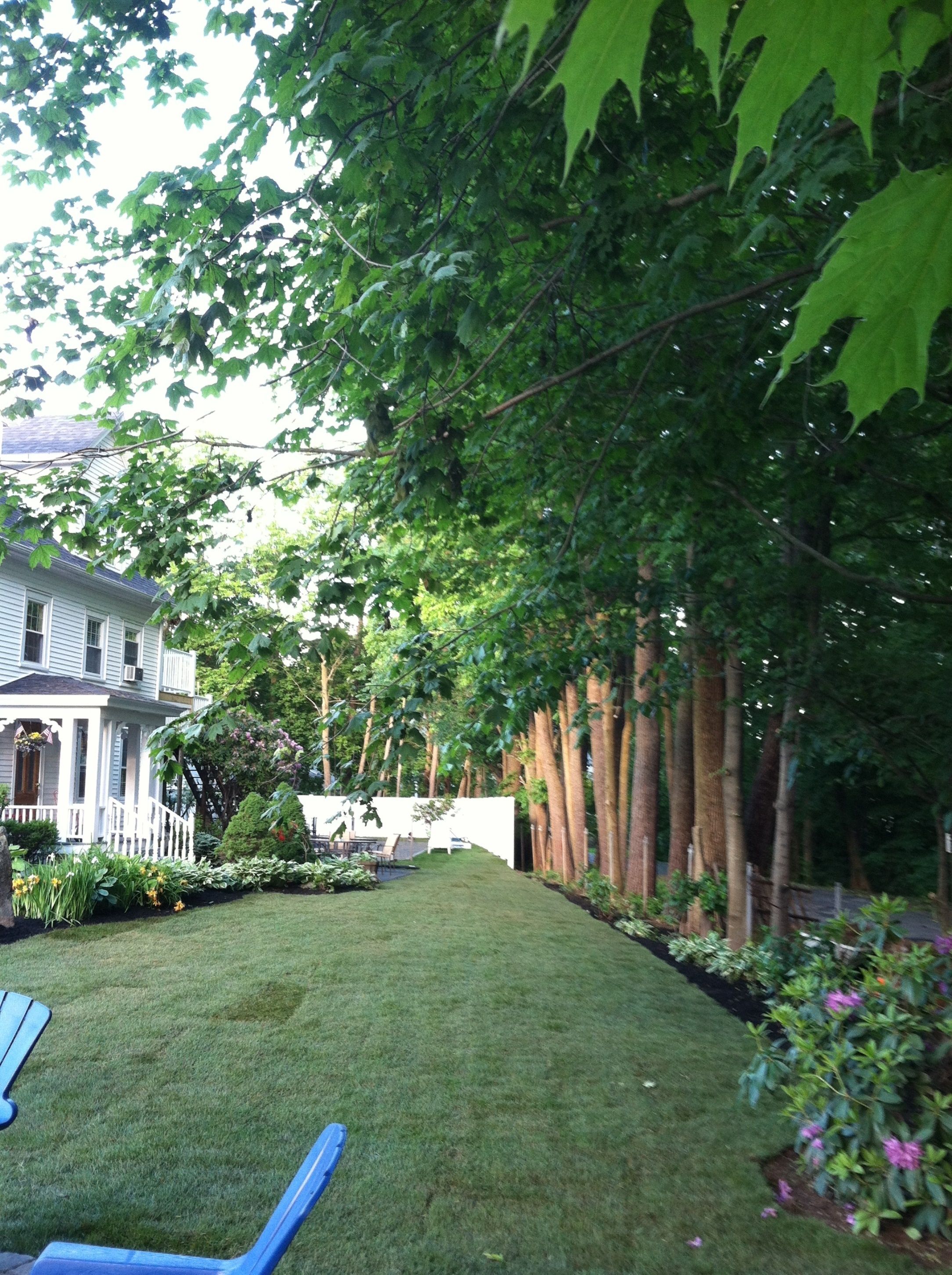 economy room, 1 king bed | terrace/patio