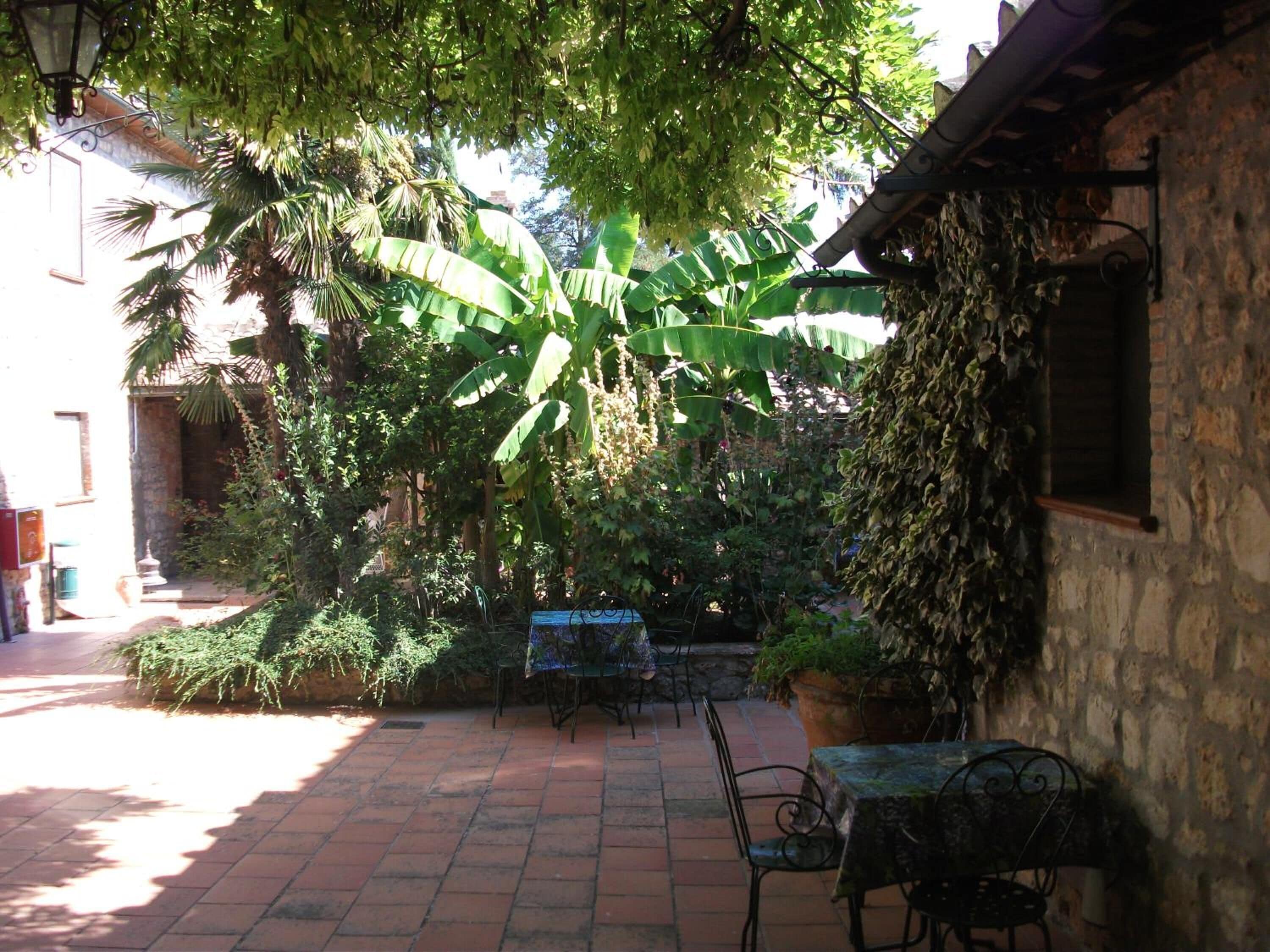 An outdoor patio area with a stone floor, surrounded by lush greenery and a large banana tree.