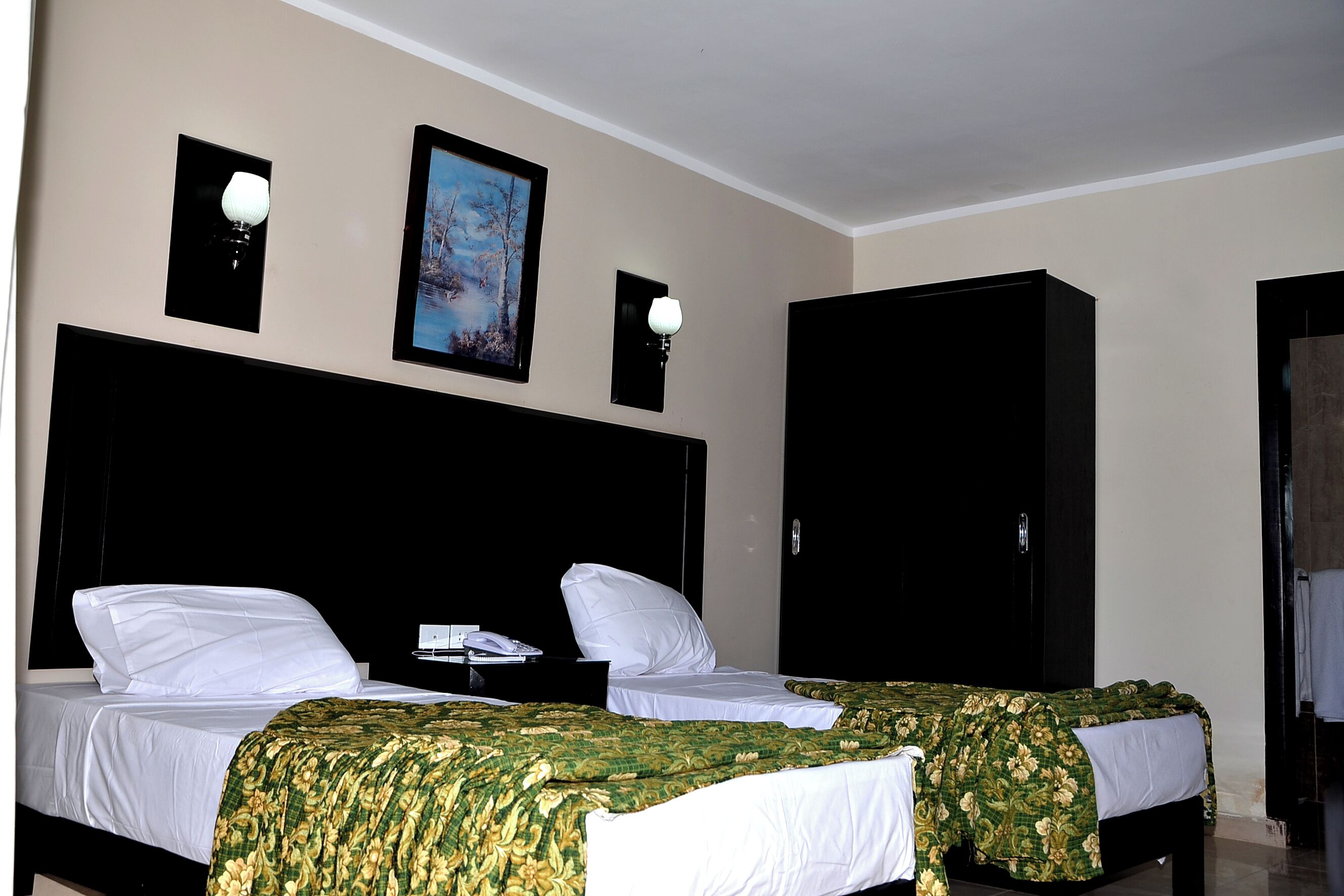Minibar, Wi-Fi, draps fournis
