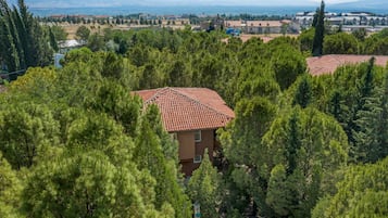 Vista desde la habitación