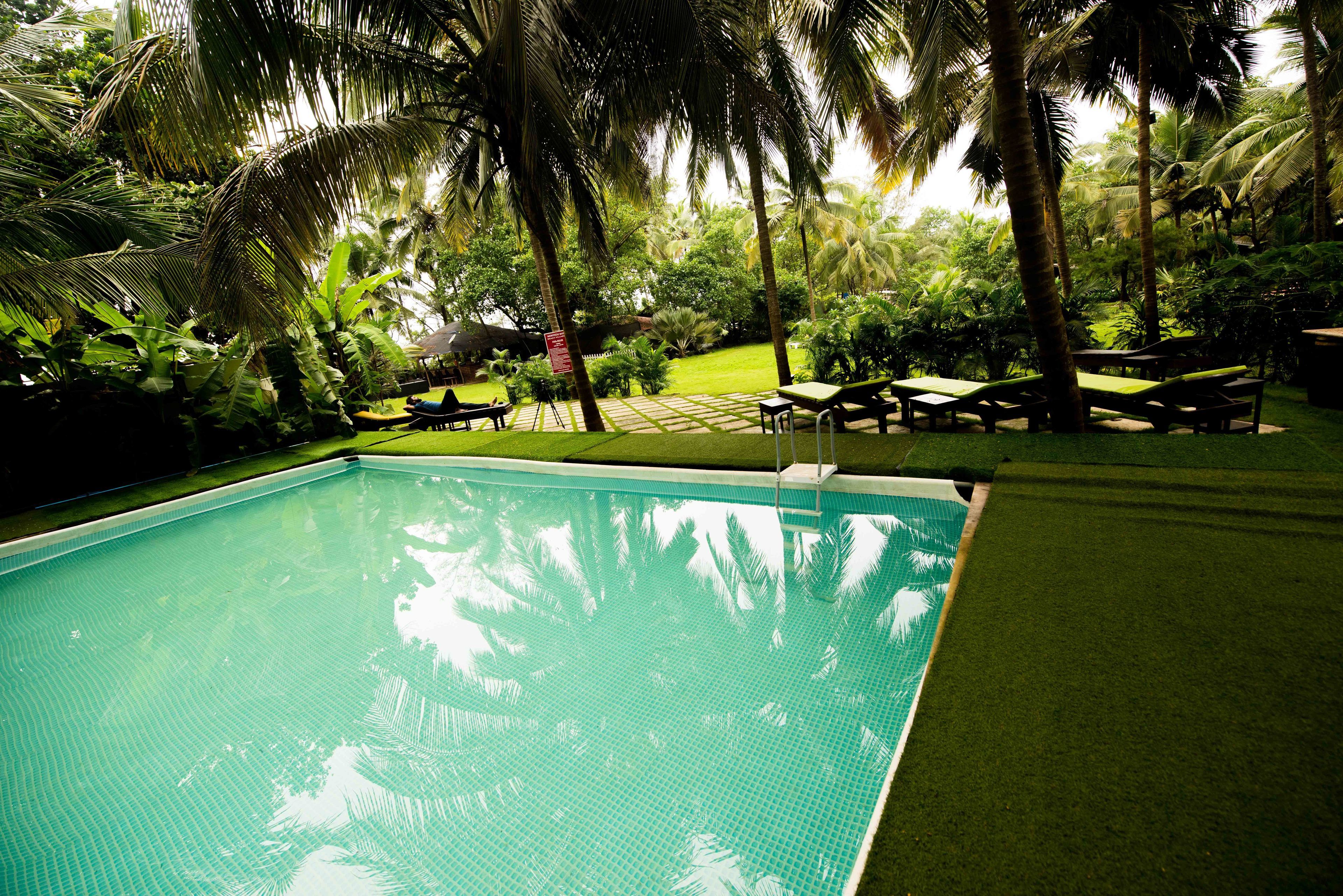 Una piscina al aire libre, sombrillas, sillones reclinables de piscina