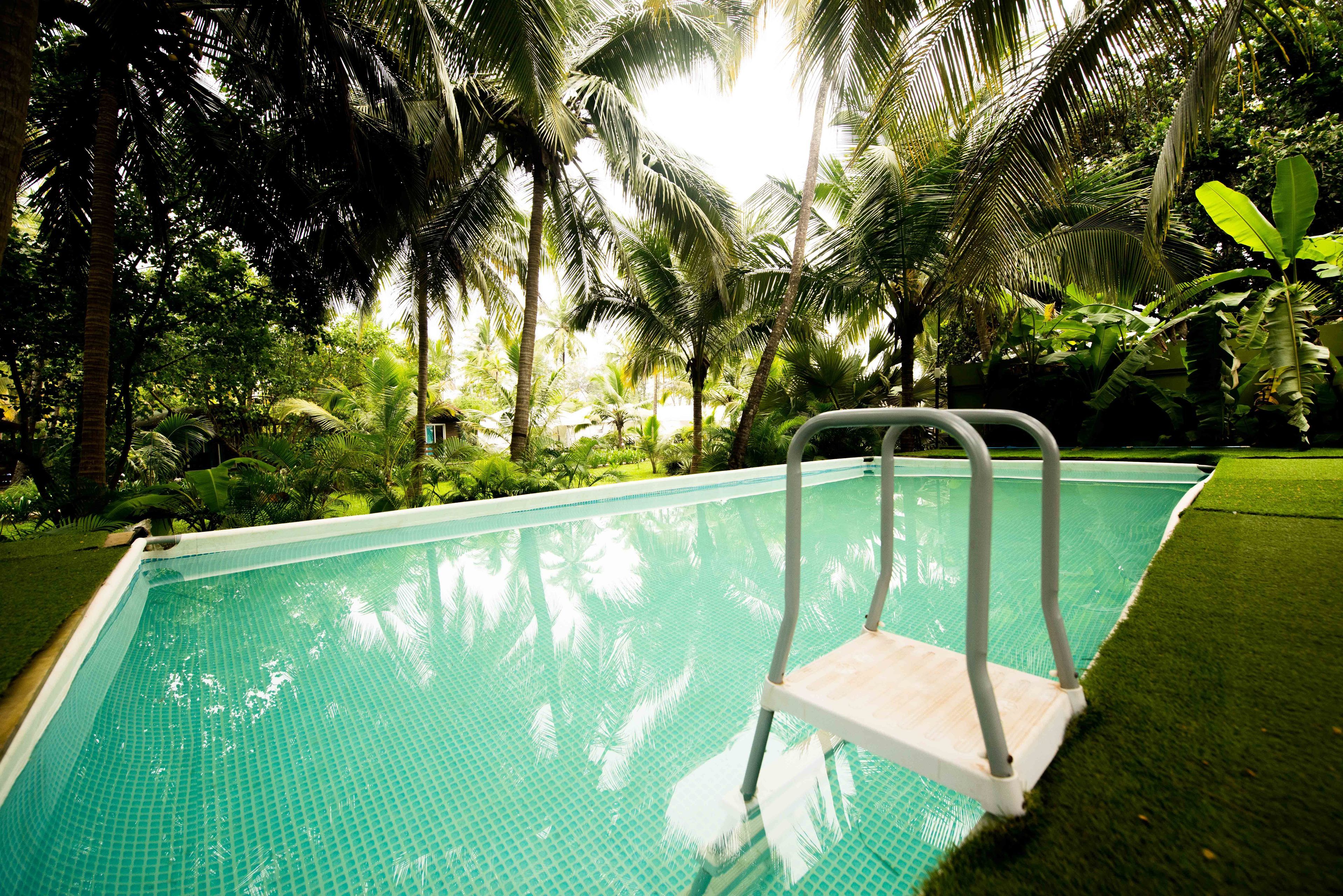 Outdoor pool, pool umbrellas, sun loungers