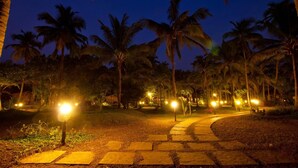 A nighttime pathway with palm trees and illuminated lights. - Montego Bay Beach Village (Morjim)