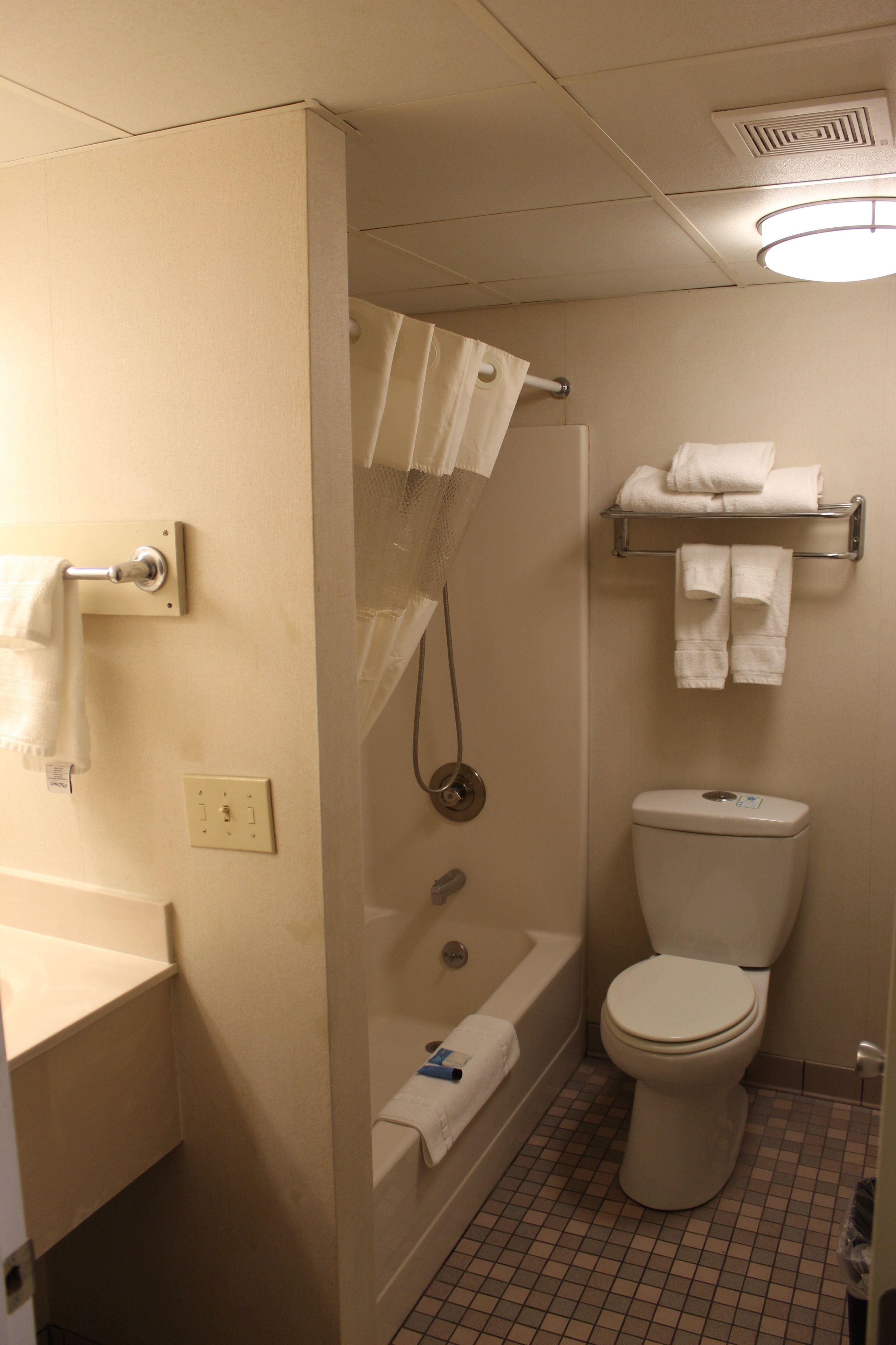 Een badkamer met bad, toilet en douchegordijn.