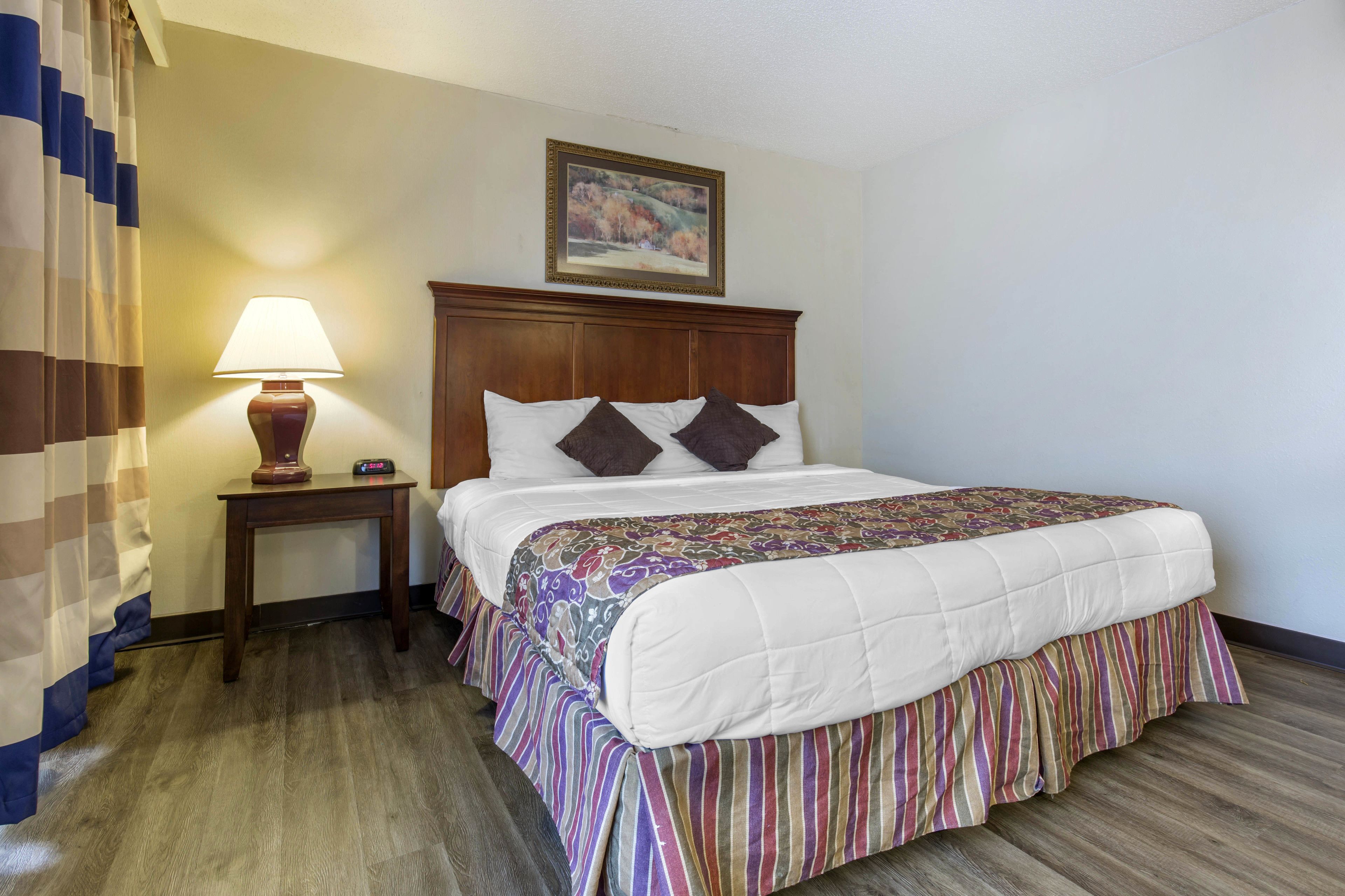 A hotel room with a bed, a nightstand with a lamp, a painting on the wall, and a striped curtain.