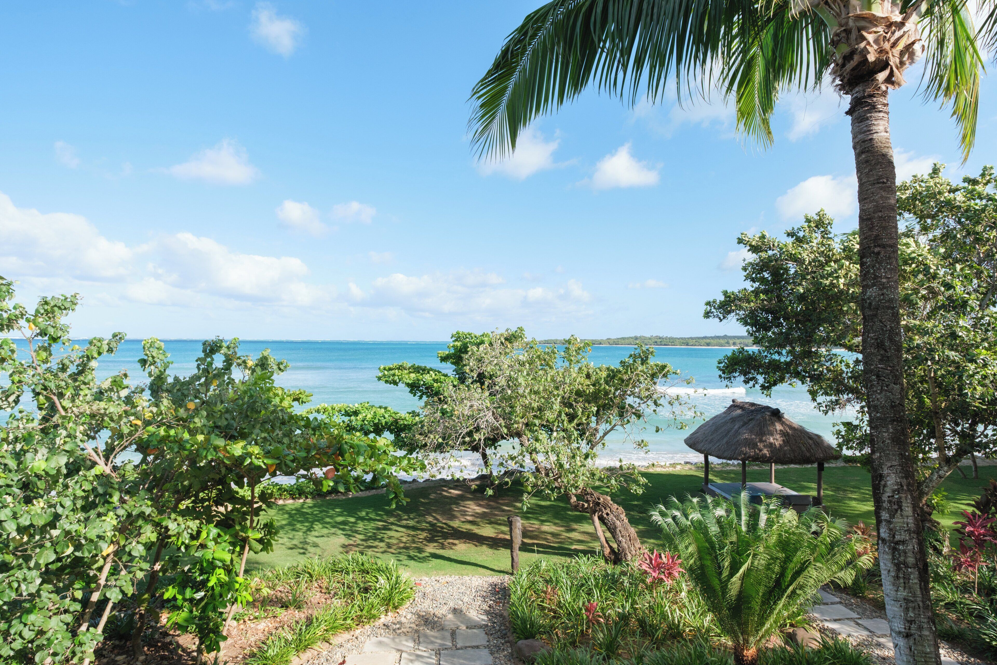 A tropical garden with a palm tree, a thatched-roof gazebo, and a view of the ocean.
