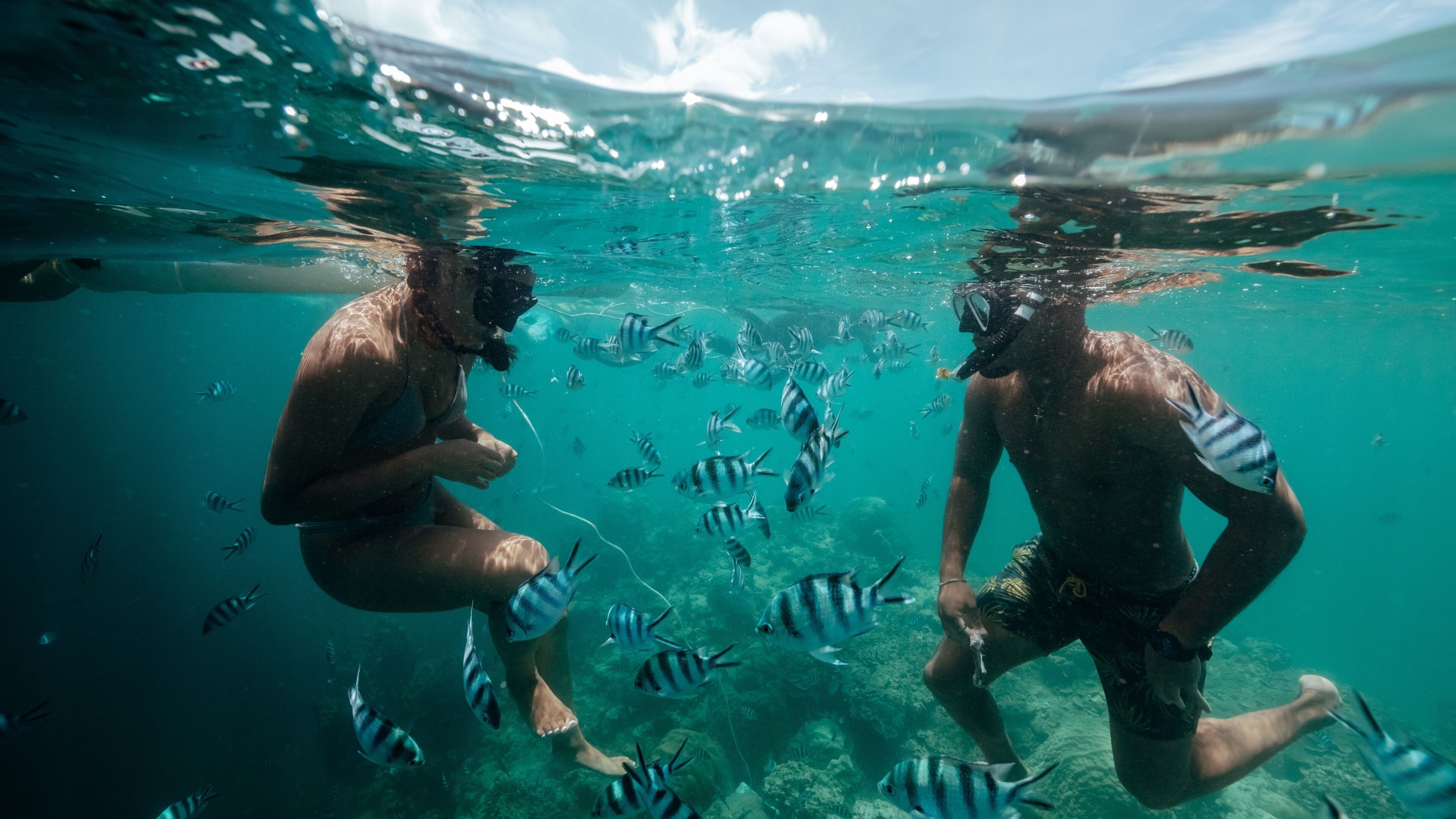 Two people snorkeling underwater with fish.