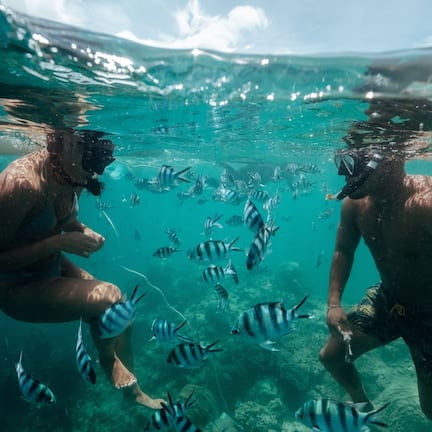 Two people snorkeling underwater with fish.