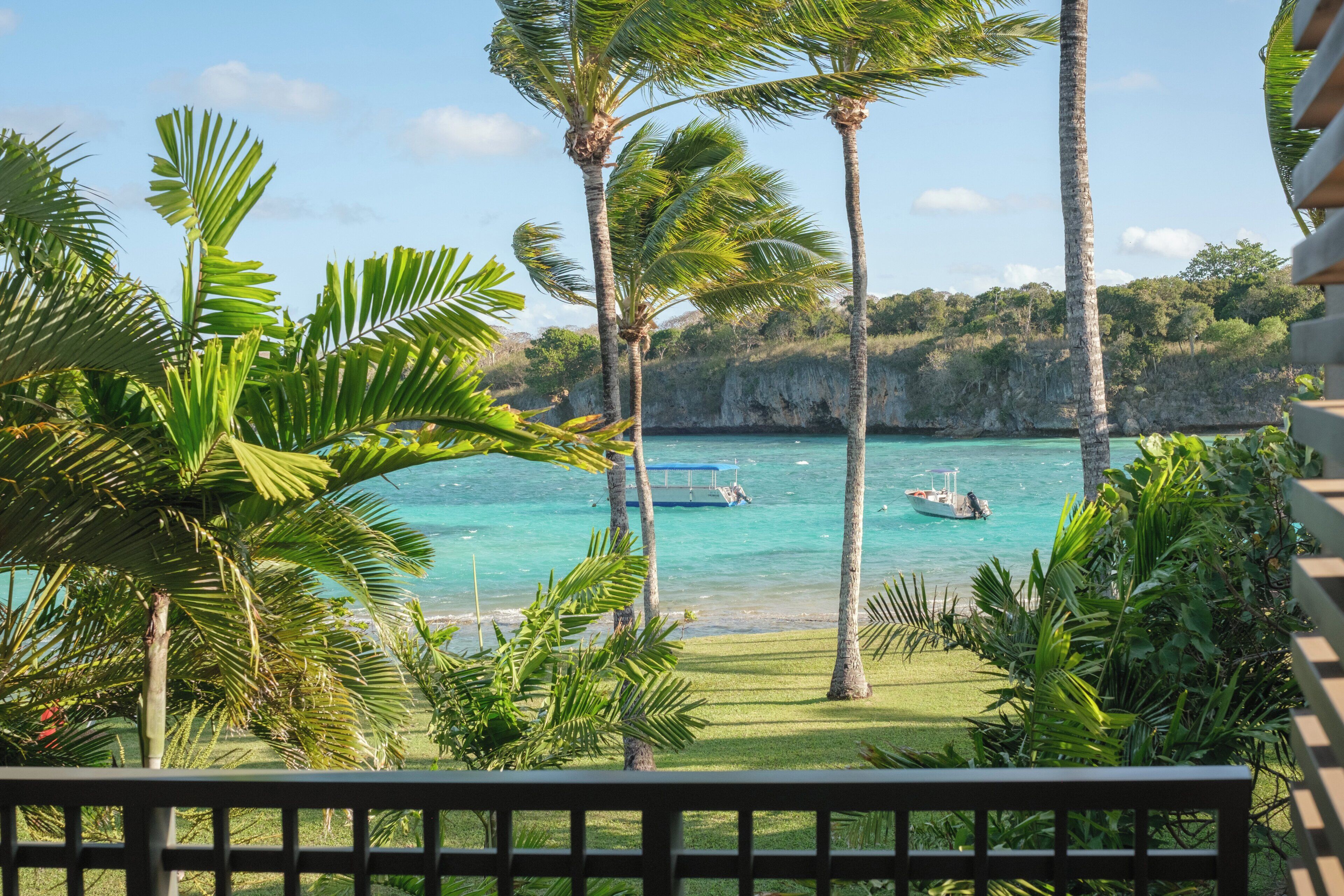 A tropical beach view with palm trees, a clear blue sea, and boats.