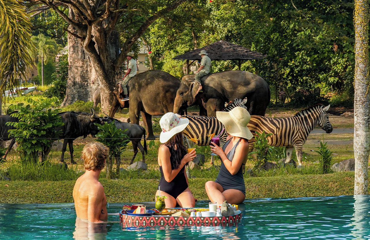 A poolside area with a dining setup and animals in the background.