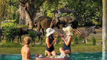 A poolside area with a dining setup and animals in the background.