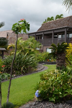 Property grounds - Sea Mountain (Pahala)