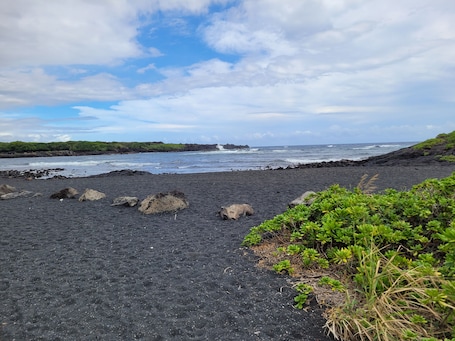 Beach. Sea Mountain