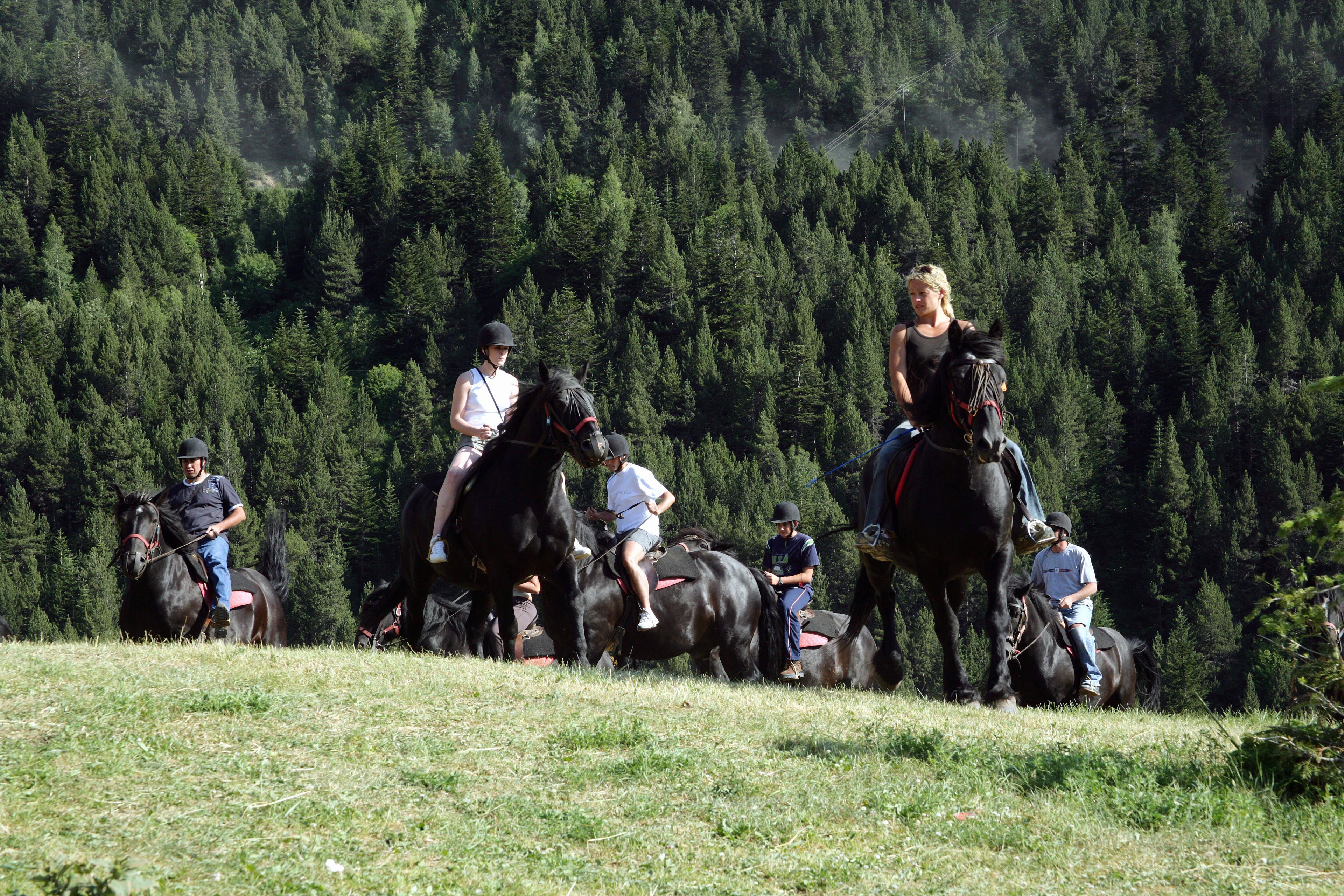 A group of people riding horses in a grassy field with a forest in the background.