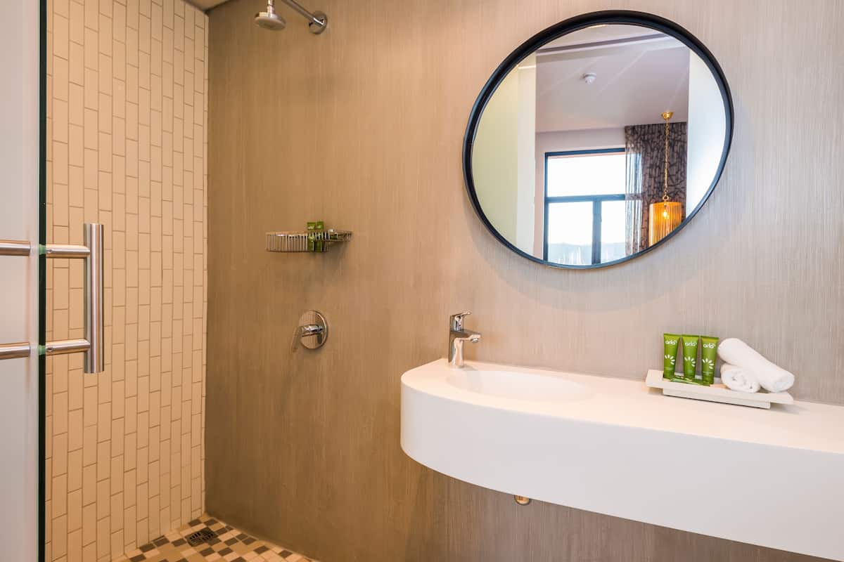 shower, free toiletries, hair dryer, towels