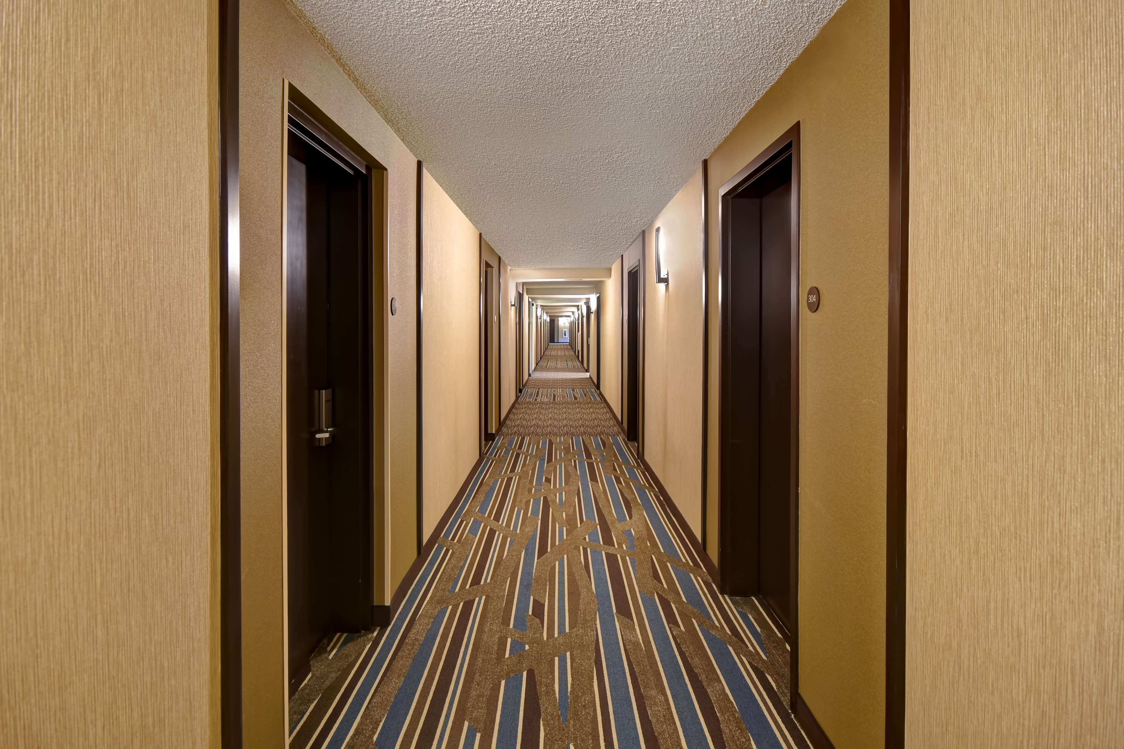 premium bedding, down duvets, pillow-top beds, desk