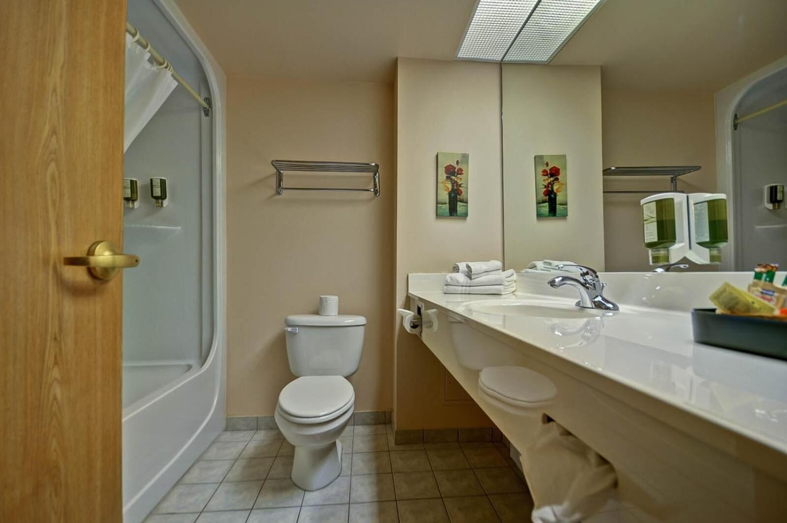 combined shower/bathtub, hair dryer, towels