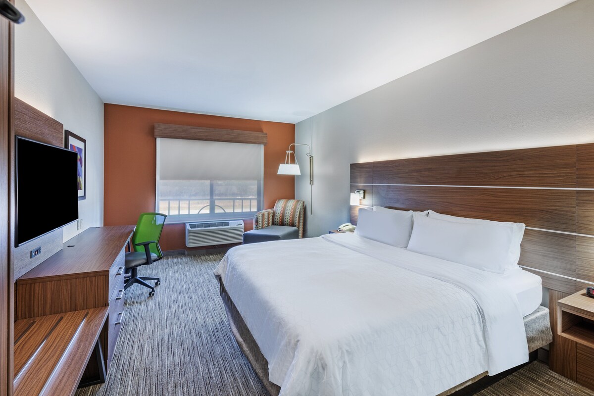 Habitación de hotel con una cama grande, un escritorio, un televisor de pantalla plana, una silla verde y una ventana con vistas.