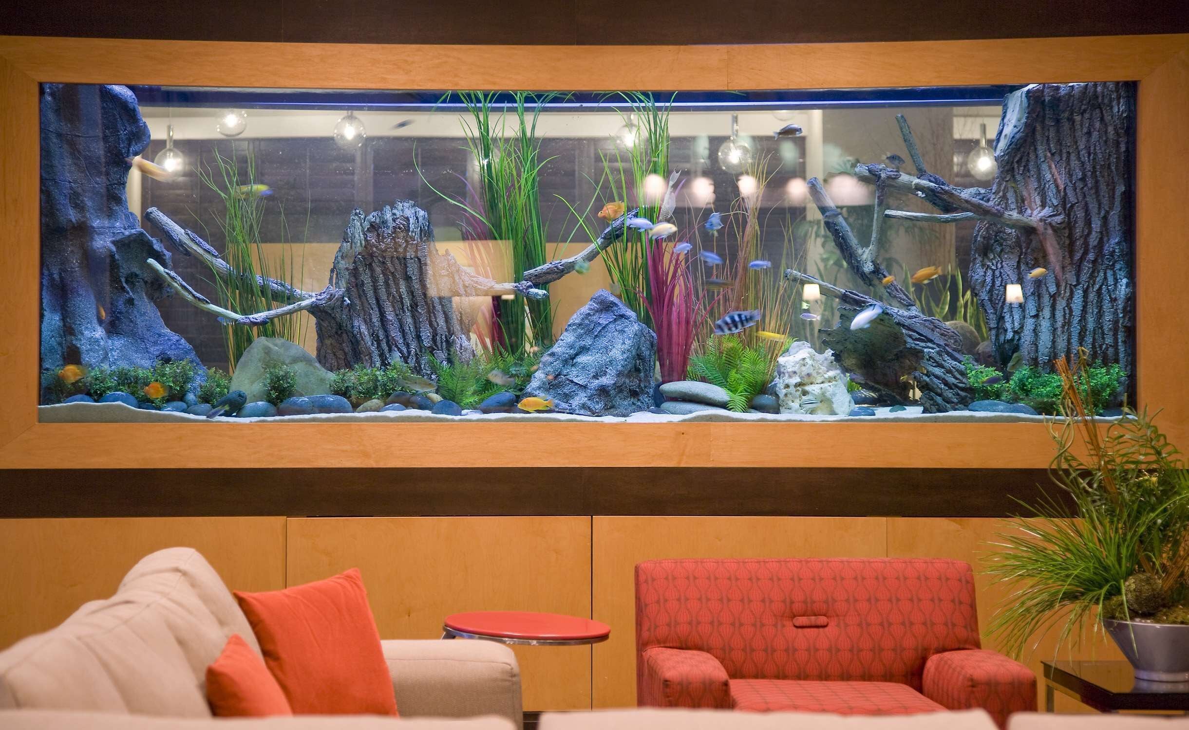 Foto - Embassy Suites by Hilton Houston-Energy Corridor