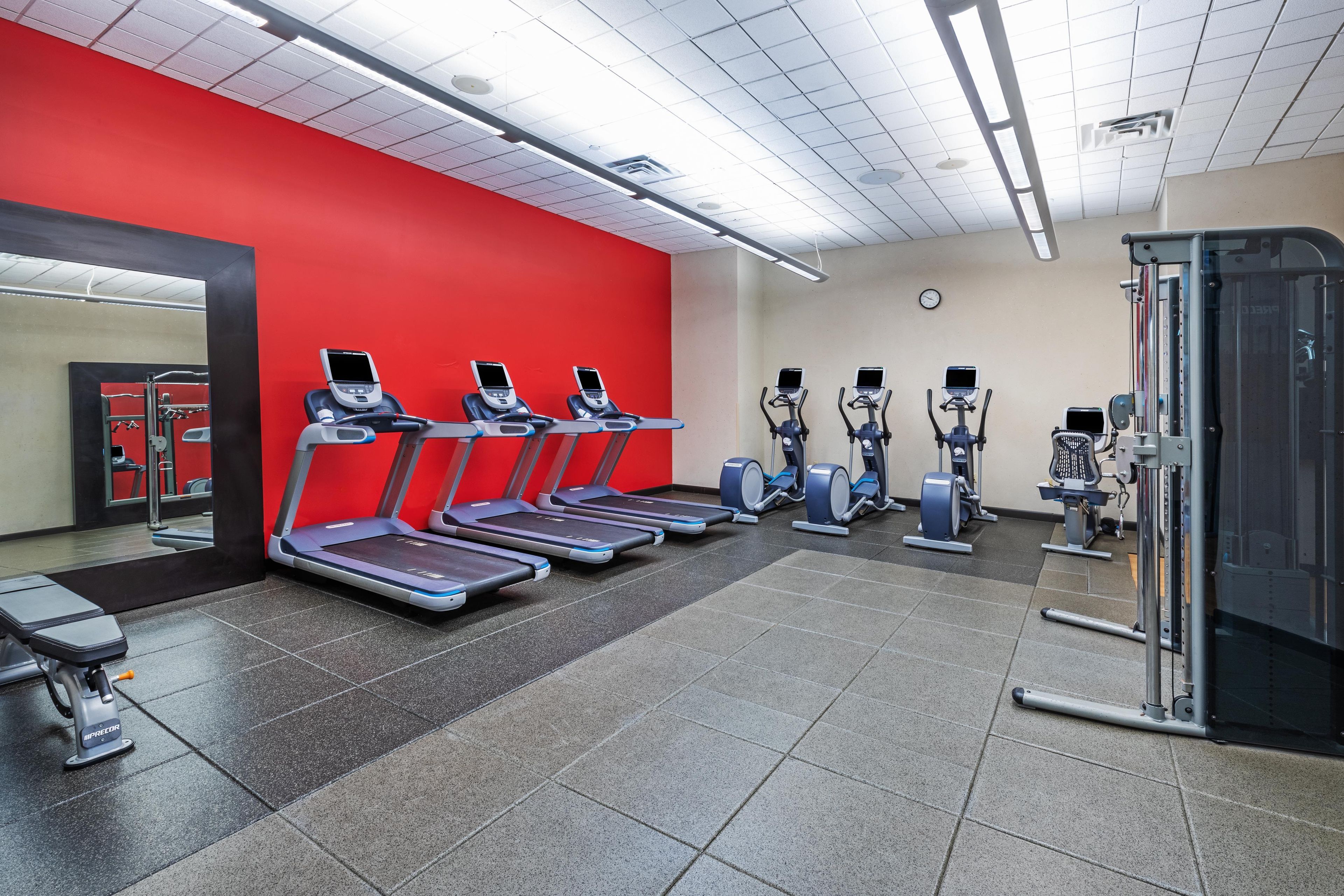 A gym with treadmills, elliptical machines, and a mirrored wall.