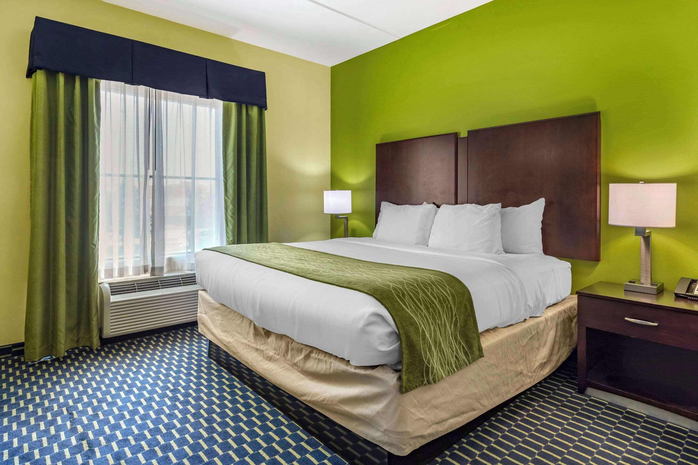 suite, 1 king bed with sofa bed, non smoking | desk, laptop workspace, iron/ironing board, free wifi