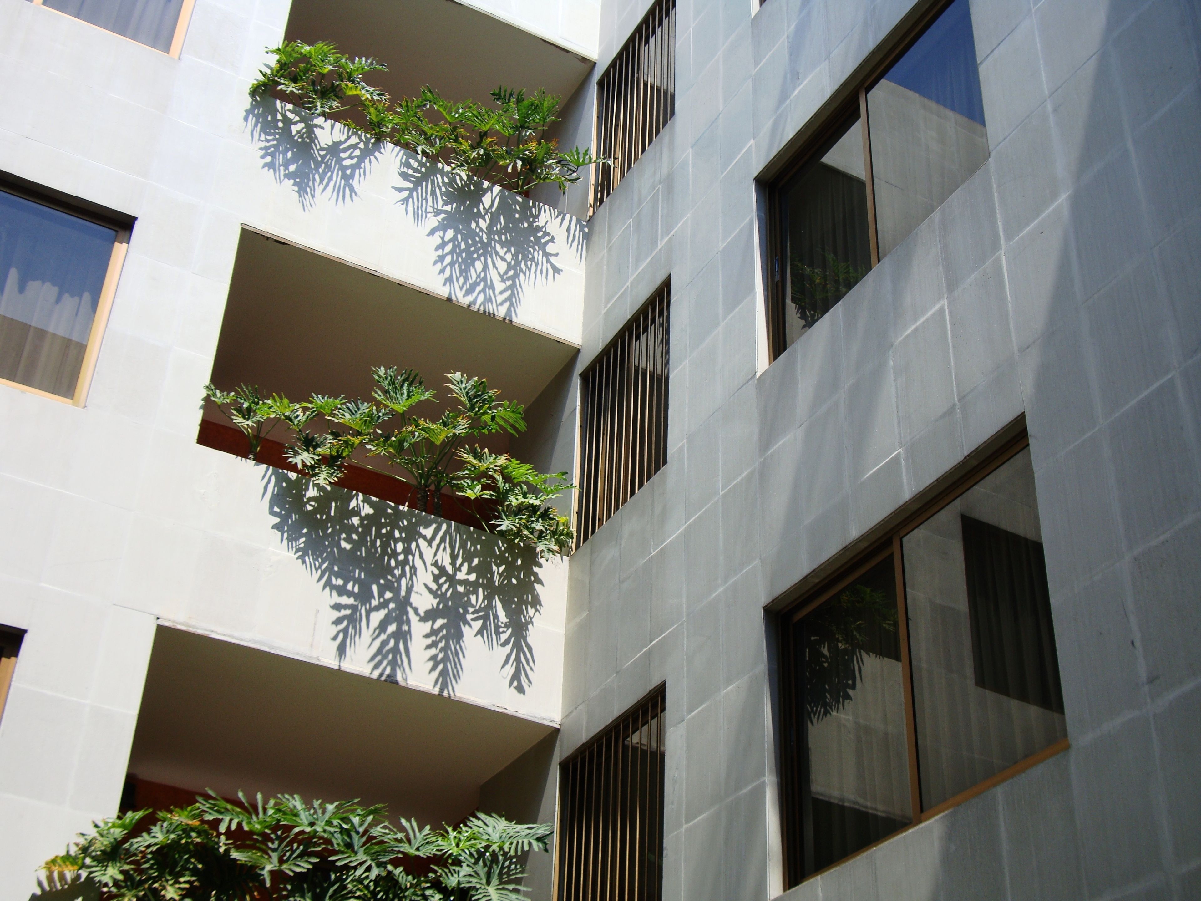 Photo - Hotel Cervantes