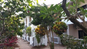 A courtyard with white buildings, a pathway, and various plants including a tree with yellow flowers. - Hotel Riverside (Baga)