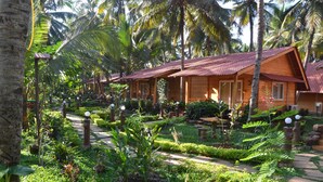 A row of wooden cabins with red roofs, surrounded by lush greenery and palm trees. - Ala Goa Resort (Betalbatim)