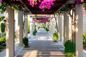 Courtyard - Astir Odysseus Kos Resort & Spa (Kos)