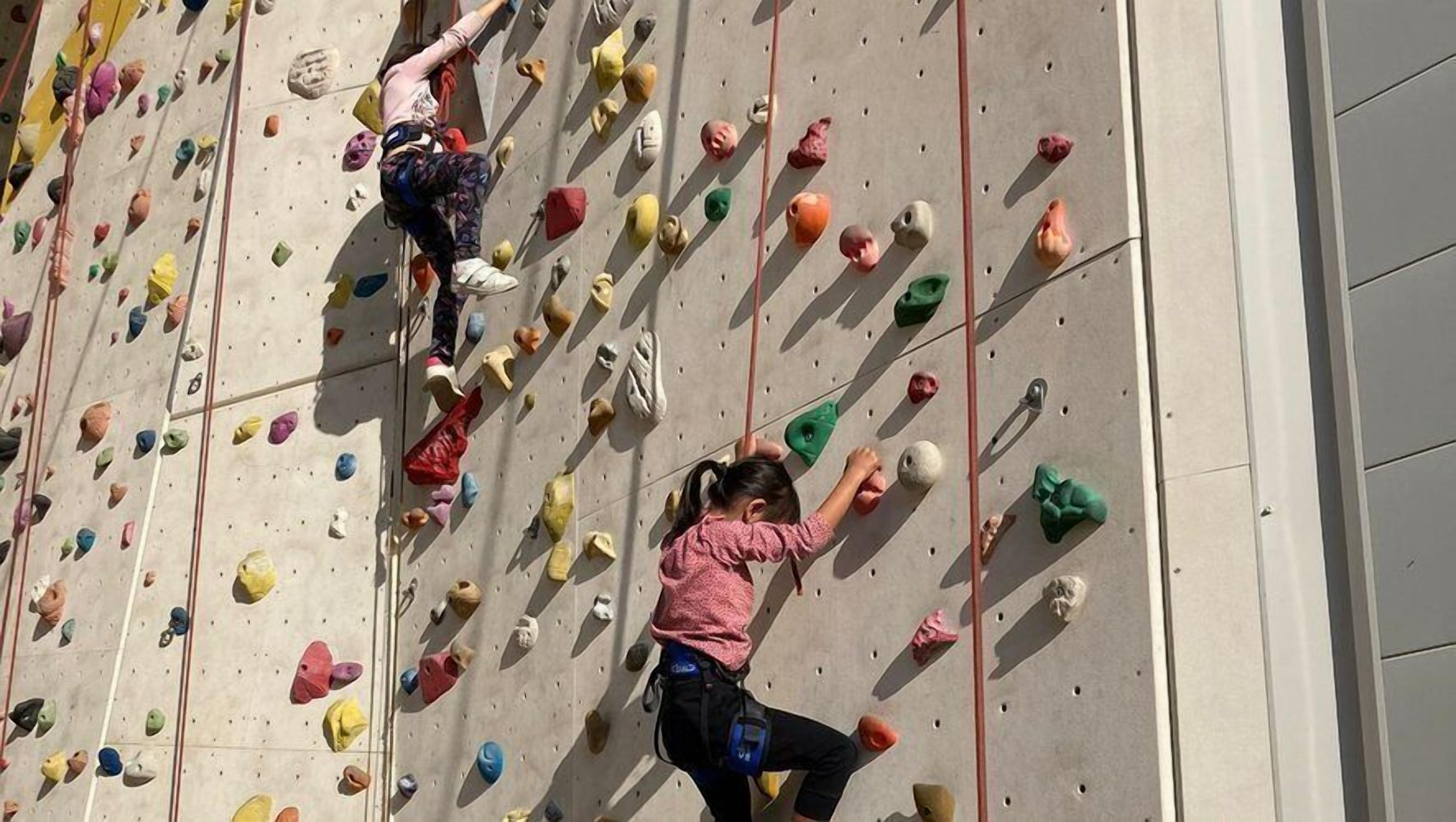 A climbing wall with various colored holds and a person climbing.
