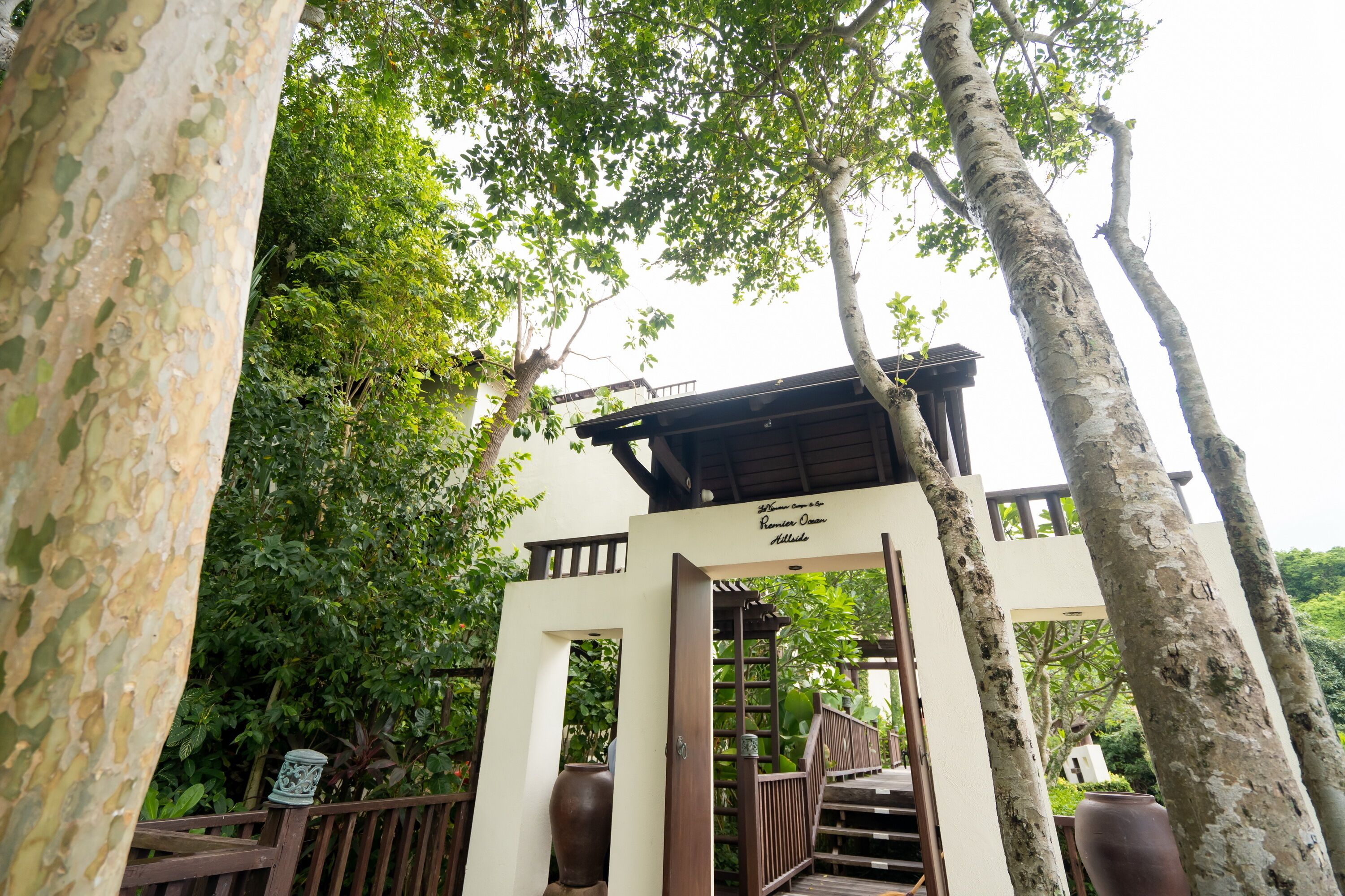 A wooden structure with a sign reading "Hotel de la Rainforest."