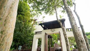 A wooden structure with a sign reading "Hotel de la Rainforest."