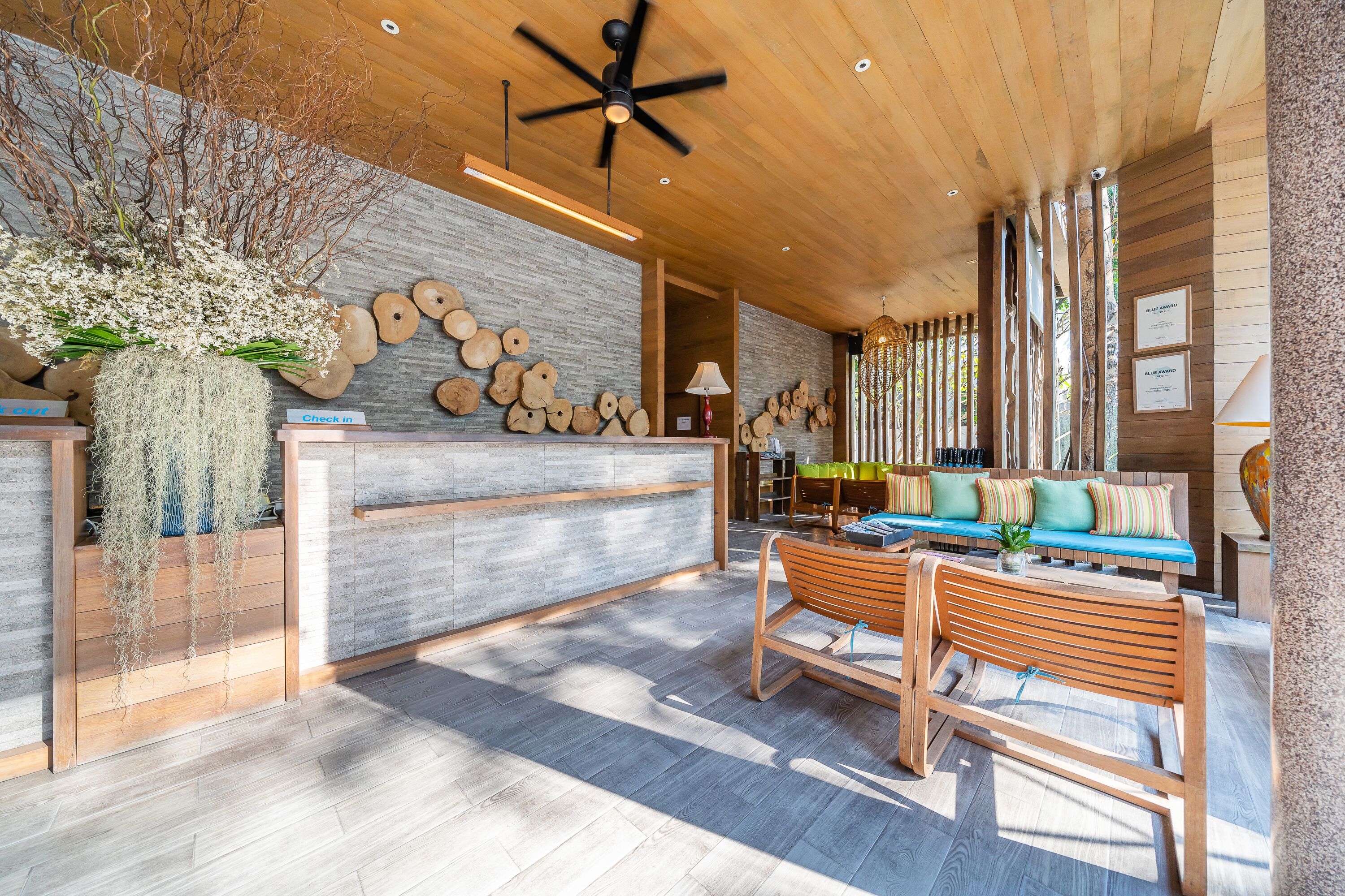 【超特大親株】P. saikeau サイケオ サメット】通常週末プラン：バンコクから車で行けるリゾートアイランド