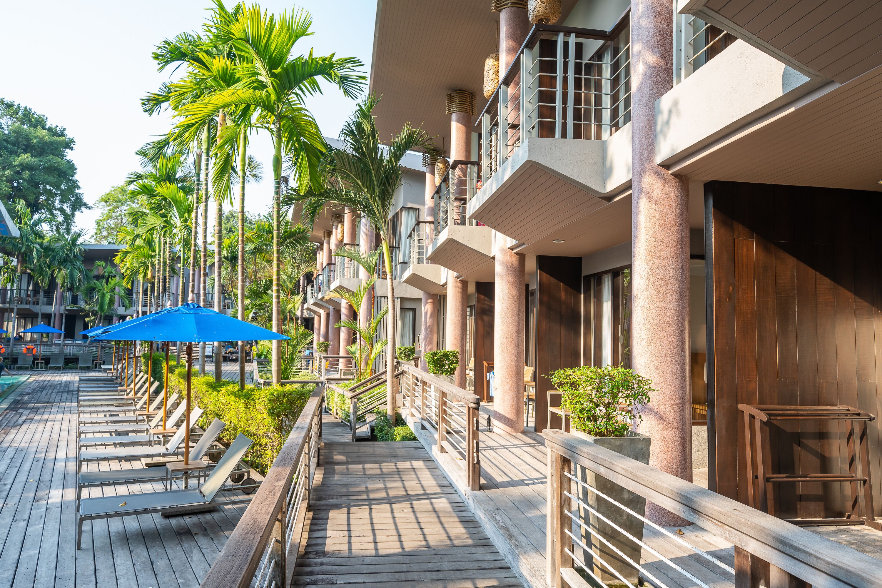 Premier room | Terrazza/patio