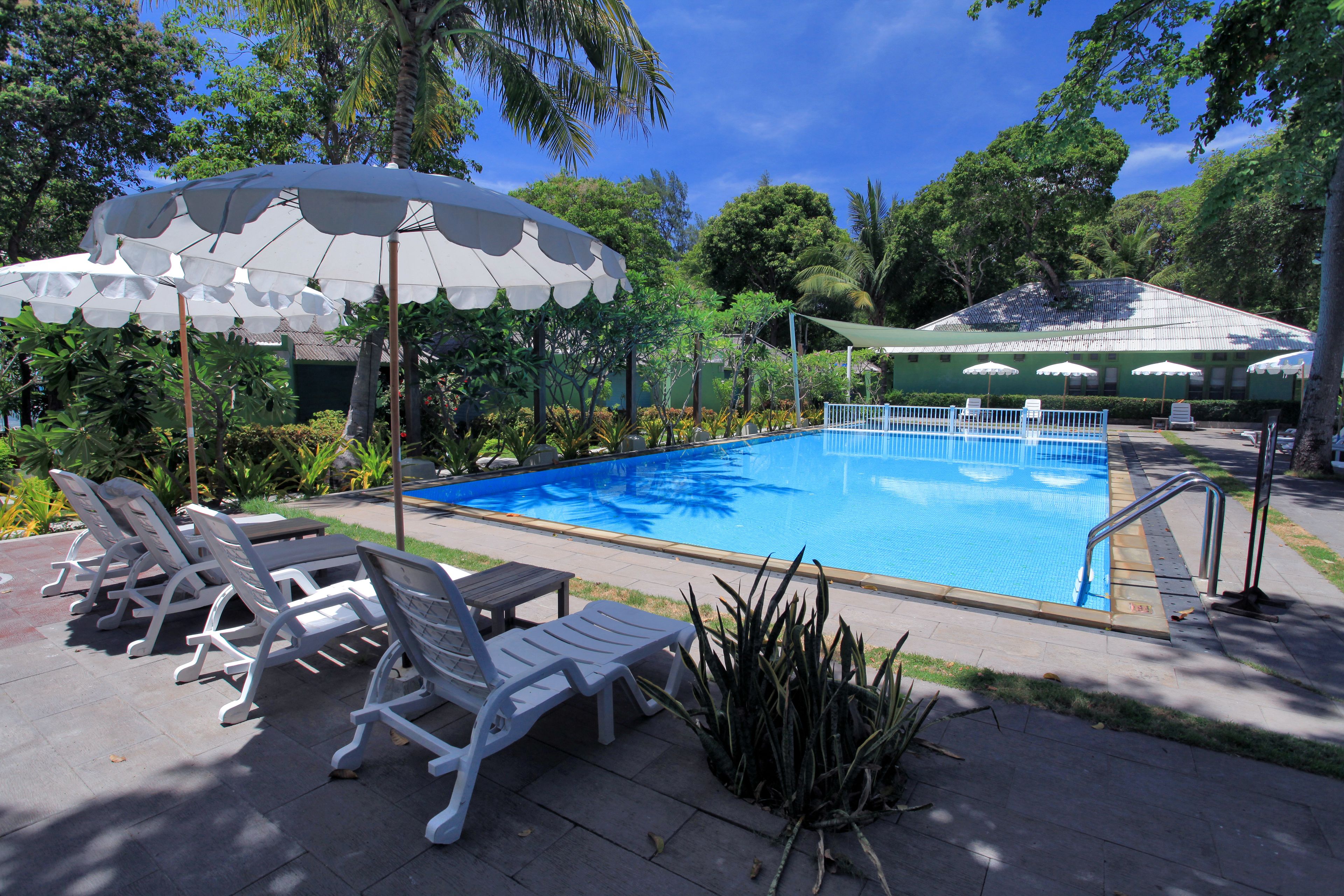 A swimming pool with white lounge chairs and umbrellas, surrounded by greenery.