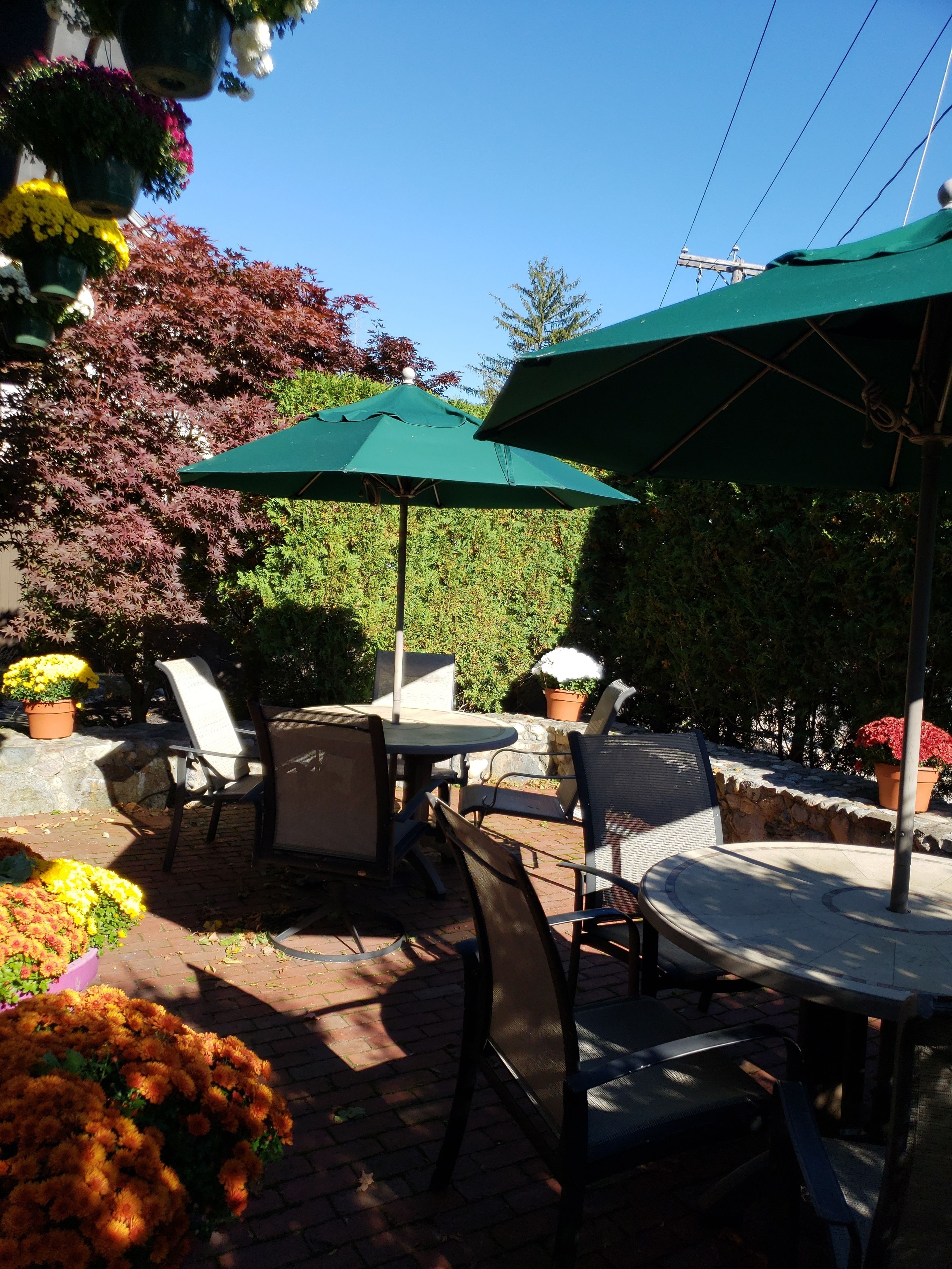 Eine Terrassenanlage im Freien mit runden Tischen und Stühlen, grünen Sonnenschirmen und Kübelpflanzen.