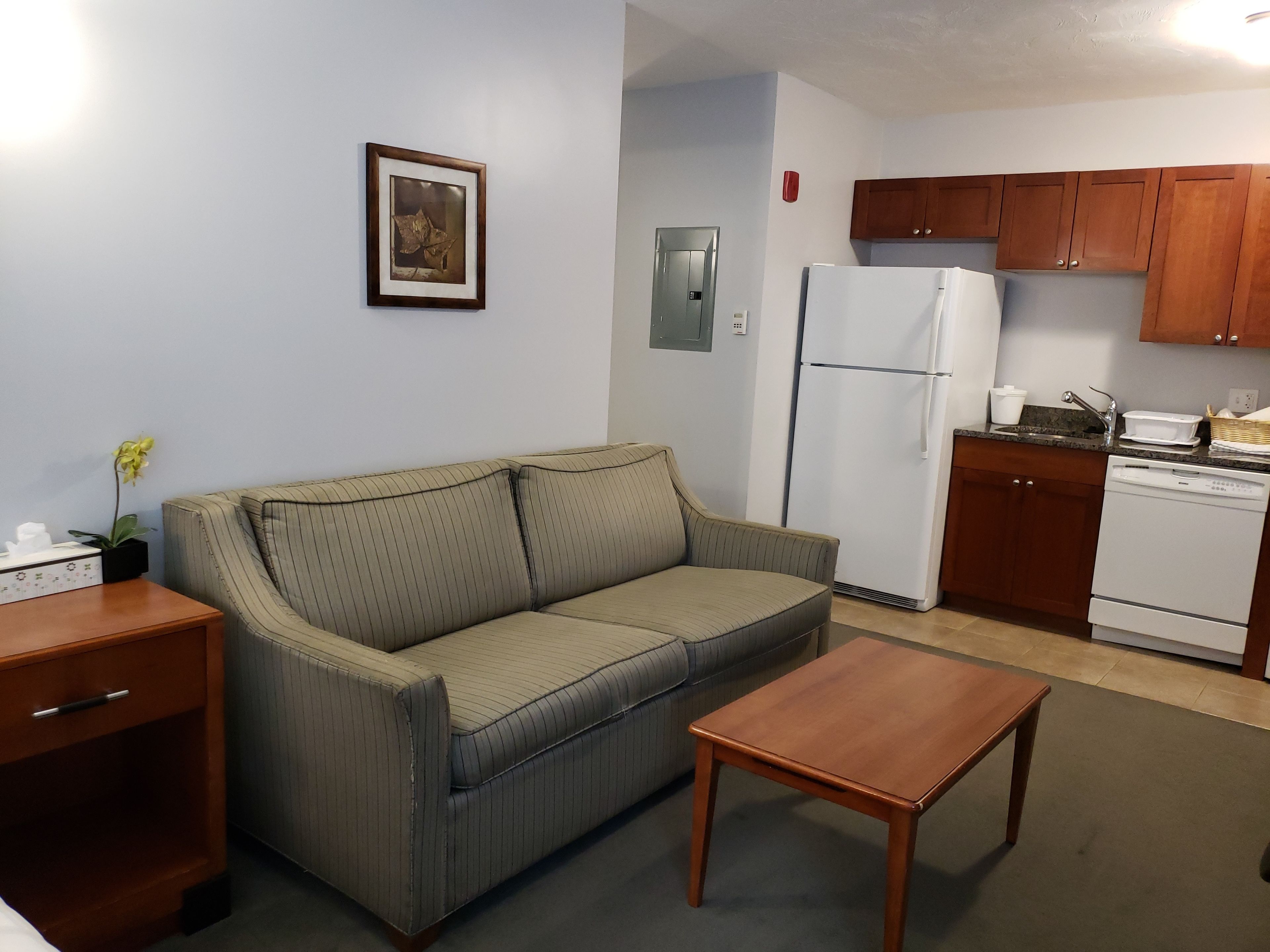 A compact living space with a sofa, a small wooden table, a kitchenette with a refrigerator and dishwasher, and a single framed picture on the wall.