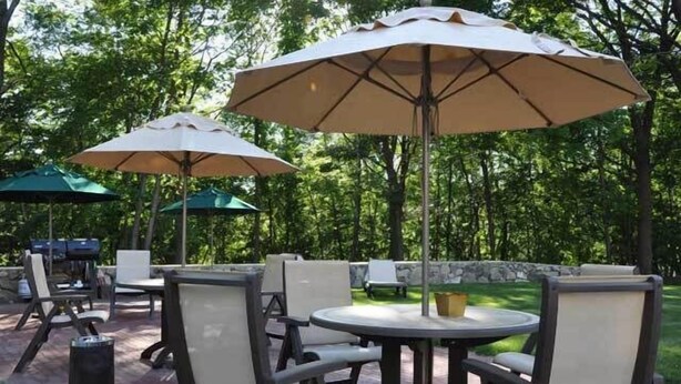 Une terrasse extérieure avec des tables et des chaises rondes, entourée de parasols verts.