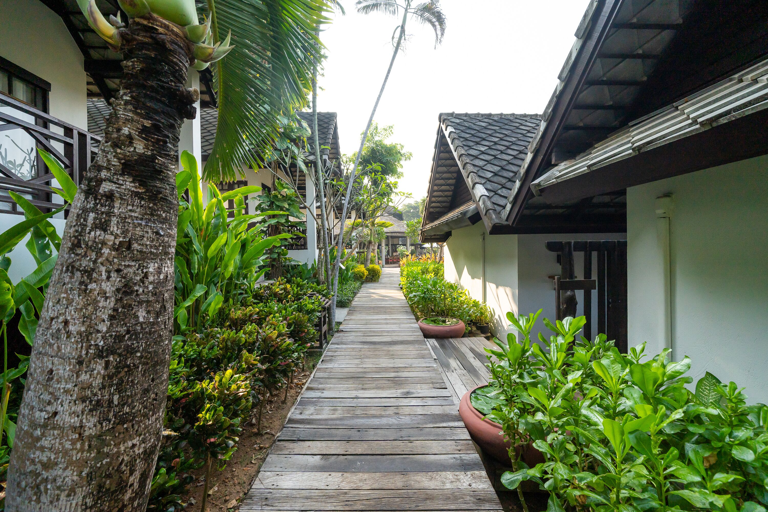 deluxe cottage | view from room