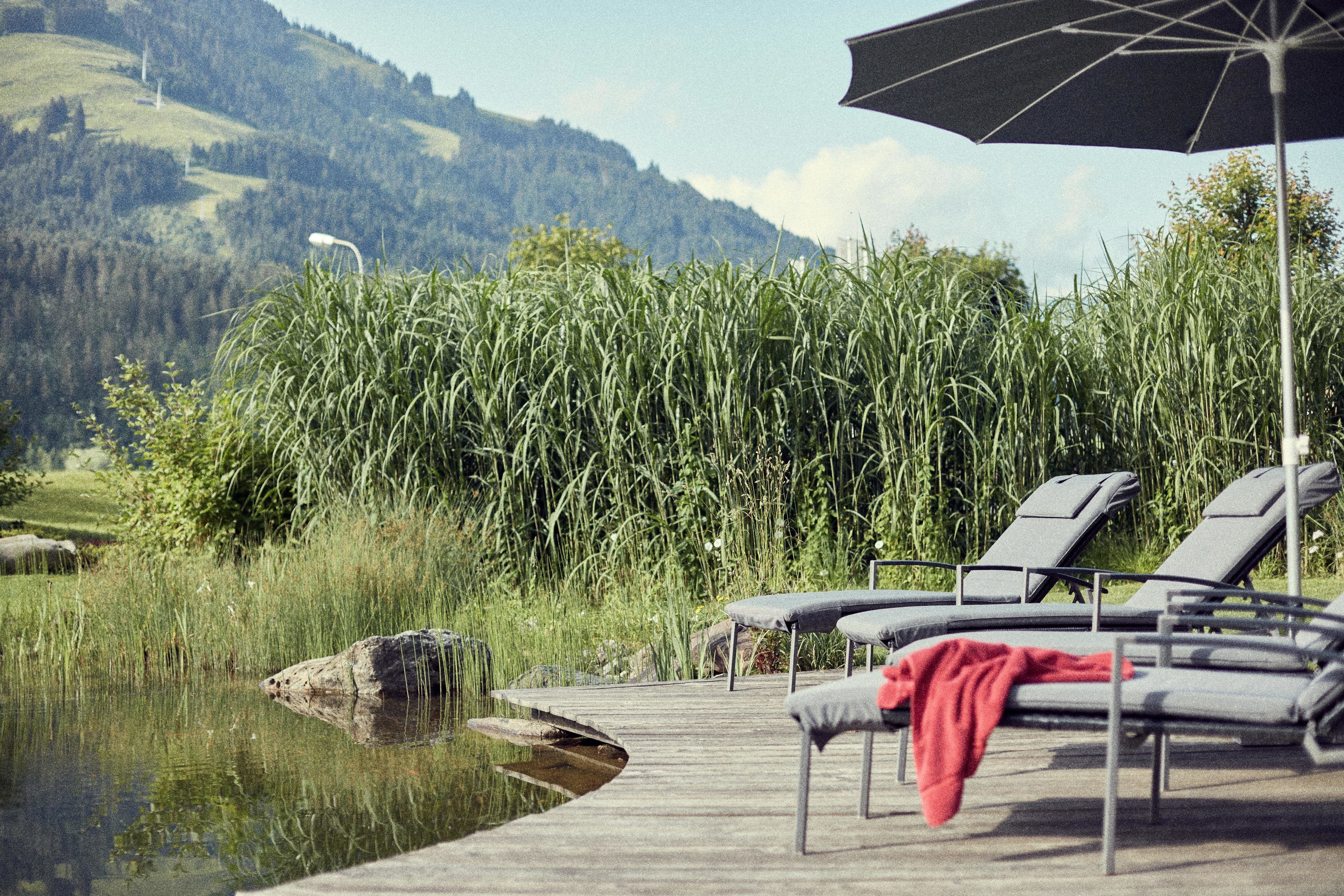 A lakeside deck with lounge chairs and an umbrella, overlooking a calm lake and dense vegetation.